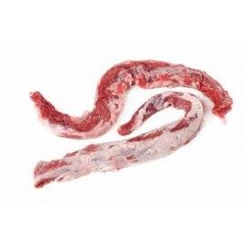 Lagarto Ibérico